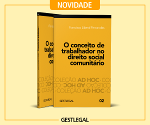 02-300X250-Website-side-advertise-novidade